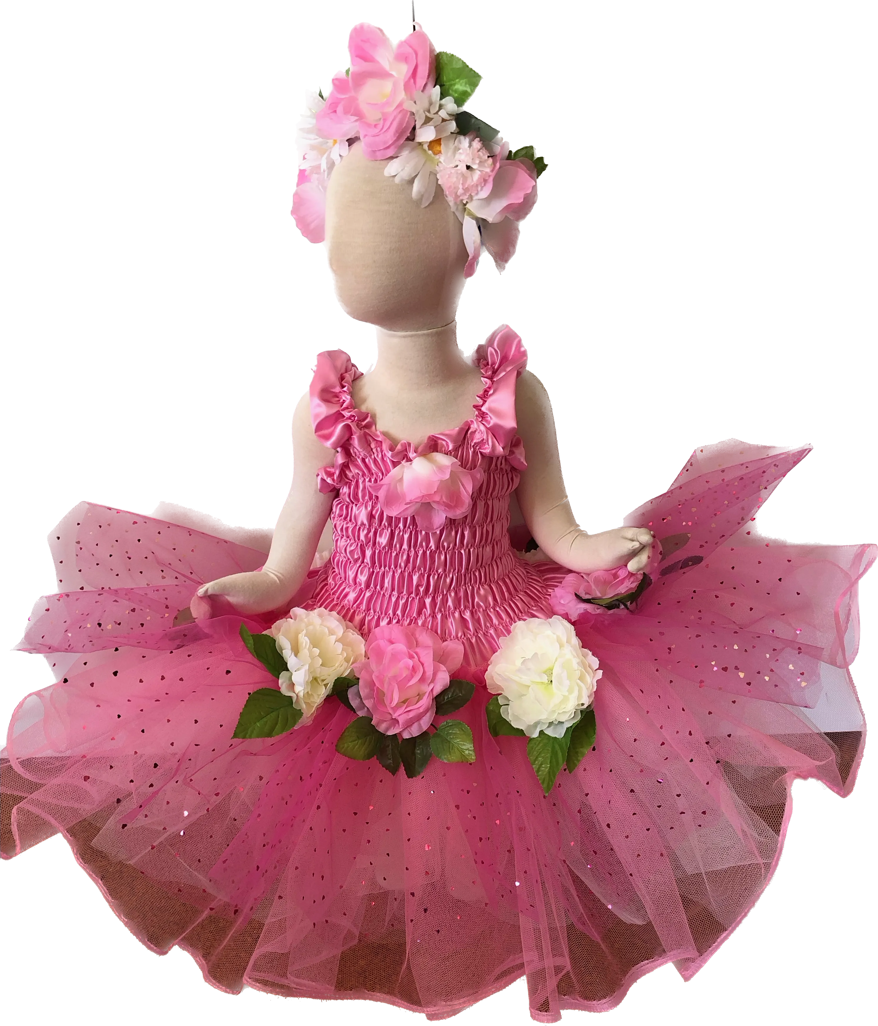 Ballerina's Beauty Fairy Dress