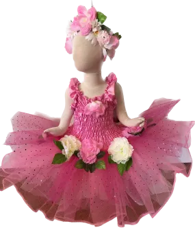 Ballerina's Beauty Fairy Dress