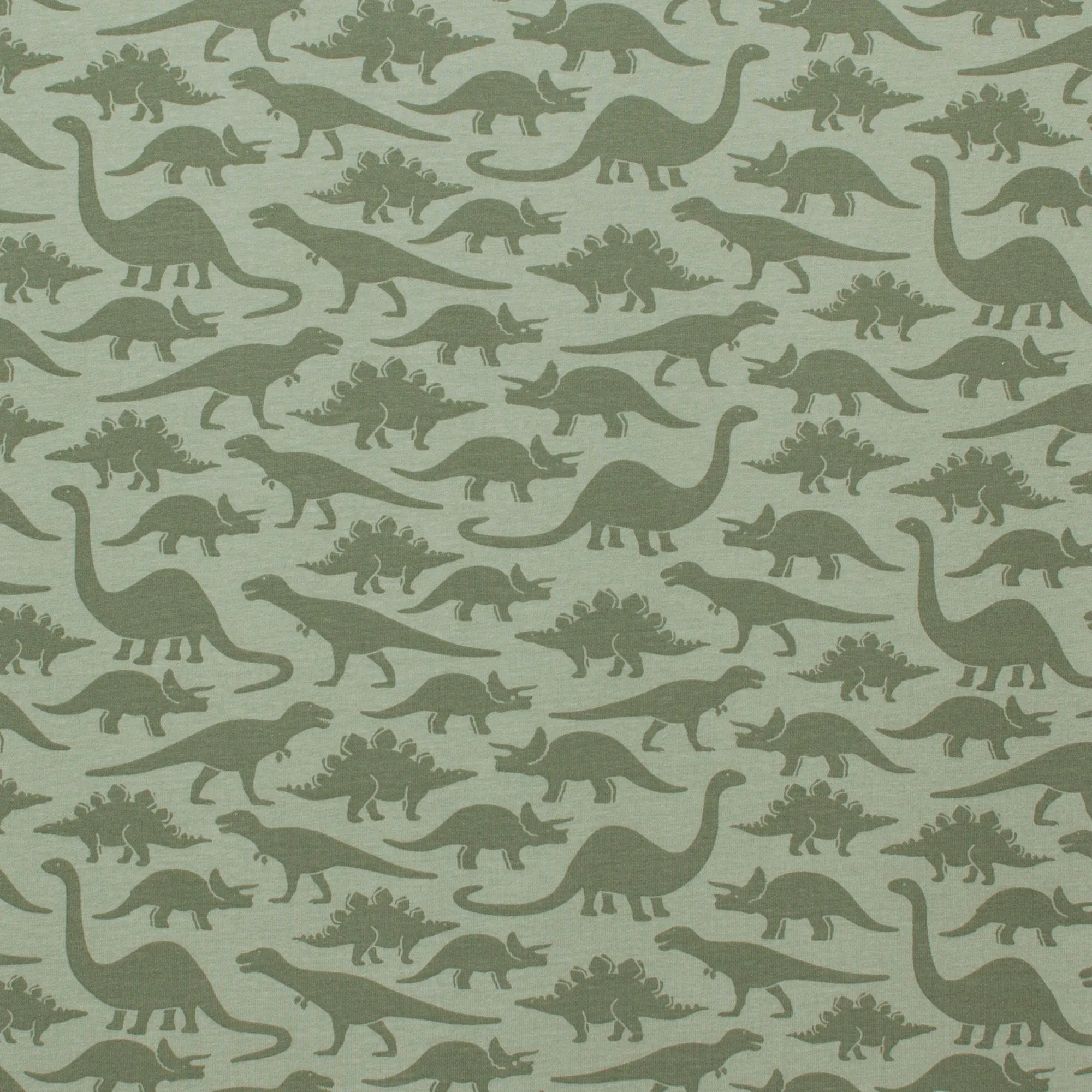 Bike Shorts - Dinosaurs Sage